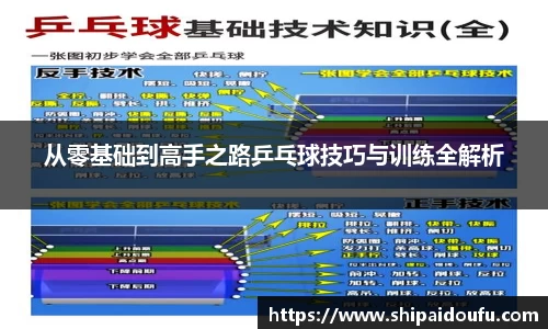 从零基础到高手之路乒乓球技巧与训练全解析