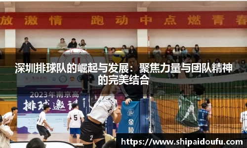 深圳排球队的崛起与发展：聚焦力量与团队精神的完美结合